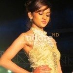 golden-Libas-5-2014-indoreHD-240×300