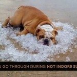 10-things-you-go-through-during-Hot-Indore-Summer-Days-Indorehd