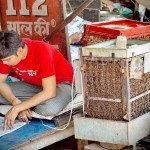 5-10-things-you-go-through-during-Hot-Indore-Summer-Days-indore-indorehd