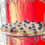 all-about-tarts-indore-hd-700×357