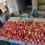 fruit-indore-indoreHD