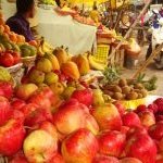 fruit-market-indore-indoreHD