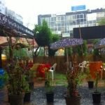 buddy’s-cafe-2-indore-indorehd