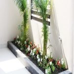 ss-infinitus-5-indore-indorehd