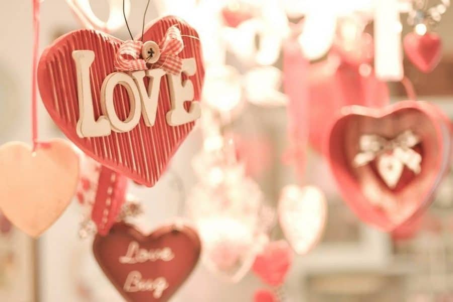 valentine's-festivl-indore-indorehd