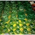 Malwa-Utsav-2015-Day-1-IndoreHD (4)