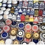 Malwa-Utsav-2015-Day-1-IndoreHD (7)