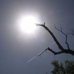 Tips To Protect Yourself During Summer-indorehd