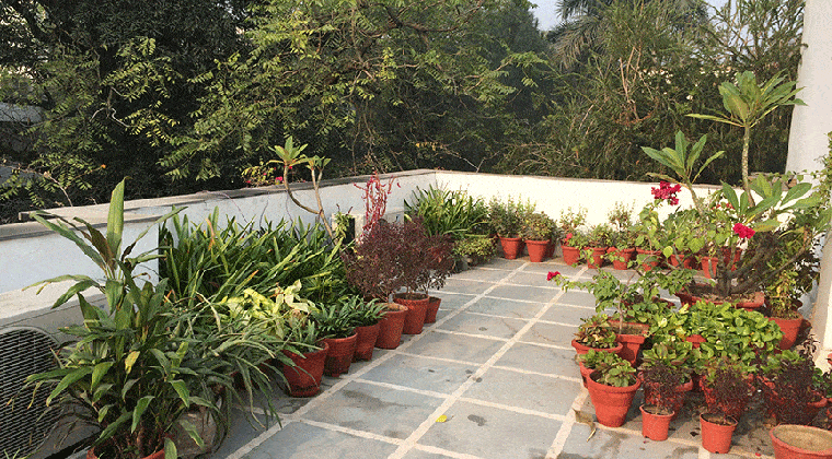 cool house during summer-indorehd