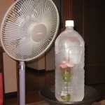 cool house during summer-indorehd