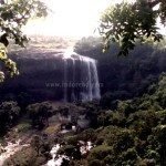 tincha fall-indorehd