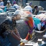 washing clothes- indore hd