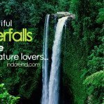 4 waterfalls in Indore for the nature lovers – IndoreHD