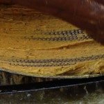 Food-in-Indore-cover-IndoreHD