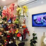 WhatsApp Image 2017-12-12 at 11.12.43 PM