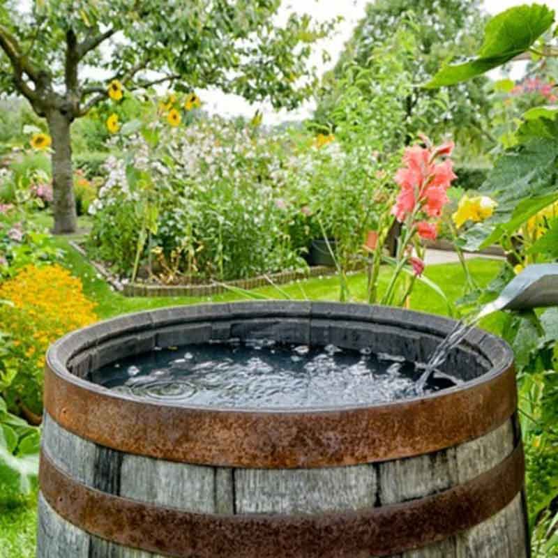 save rainwater