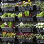 Plantation Ideas