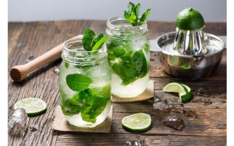 Mint Drinks Summer Food & Drinks IndoreHD