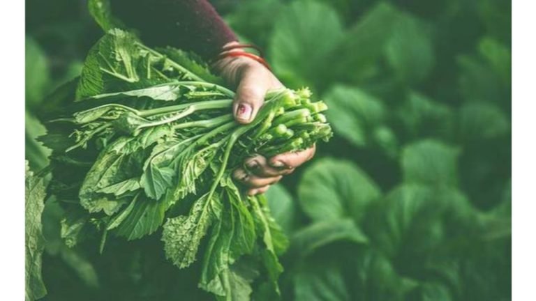 Read how these food forests in MP are changing lives and helping farmers!