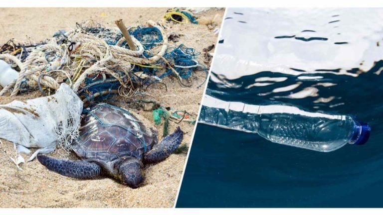 Single Use Plastics To Be Banned From October 2nd. Everything You Need To Know!