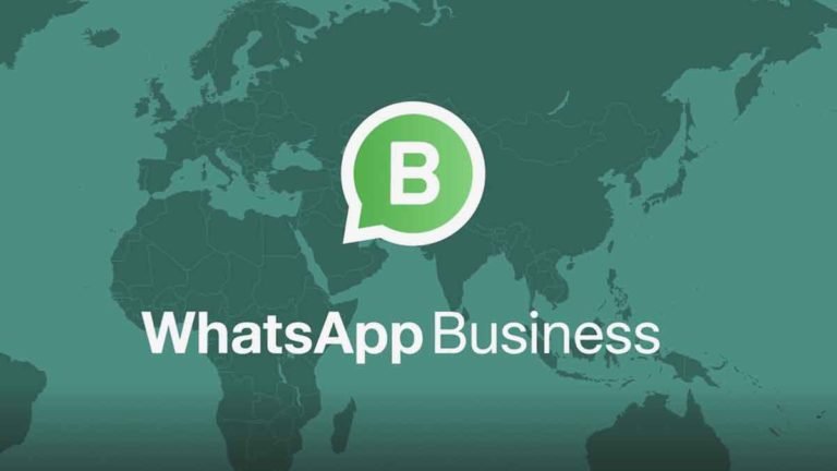 whatsapp business app