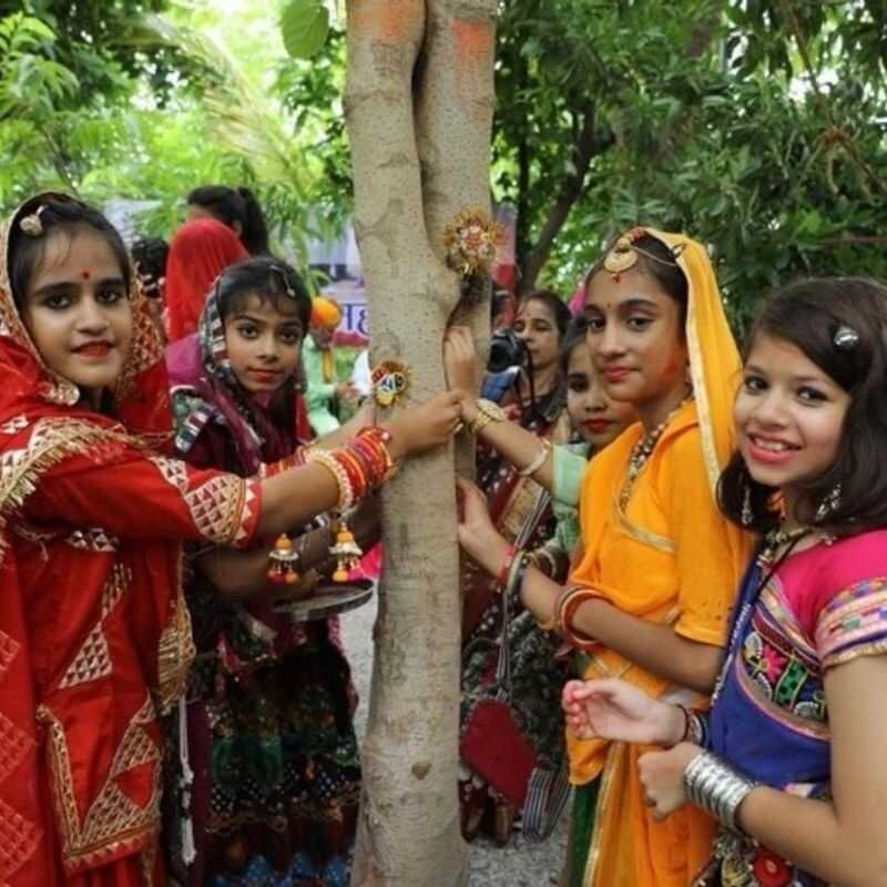 planting trees when girl is born