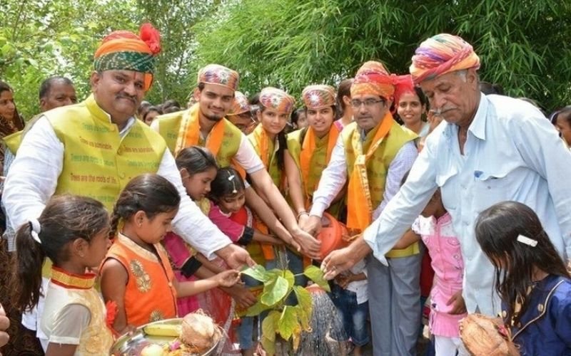 planting 111 trees 