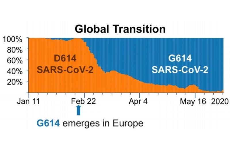 virus global transmission