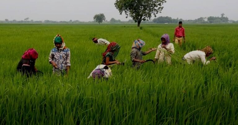 What is Farmer’s Bill and Why Are Farmers All Over India Protesting?