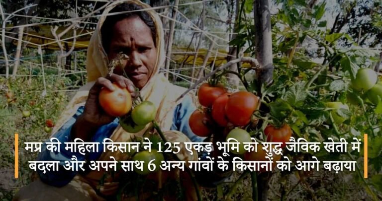 मप्र की महिला किसान ने 125 एकड़ भूमि को शुद्ध जैविक खेती में बदला और अपने साथ 6 अन्य गांवों के किसानों को आगे बढ़ाया