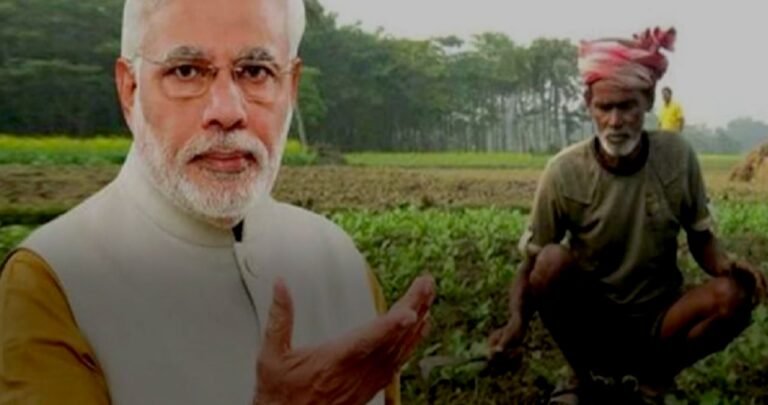 Budget 2021: What is in the general budget for farmers?