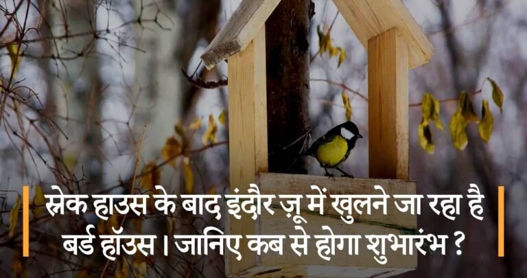 स्नेक हाउस के बाद इंदौर ज़ू में खुलने जा रहा है बर्ड हॉउस। जानिए कब से होगा शुभारंभ ?