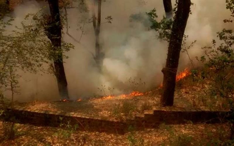 Forests blazing Uttarakhand