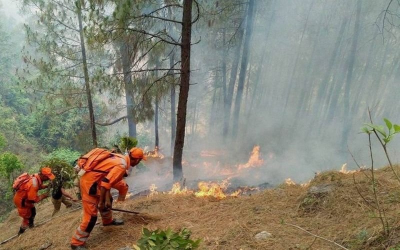 Forests blazing Uttarakhand