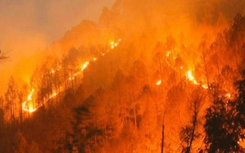 Forests blazing Uttarakhand