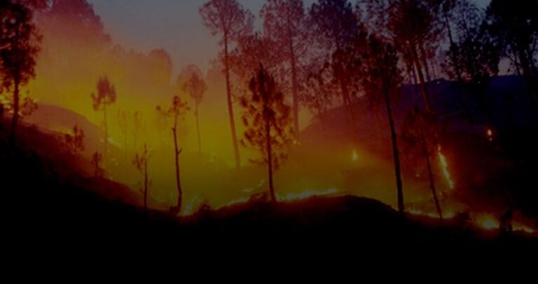 Why are forests blazing in Uttarakhand, Why are they so intense this year?