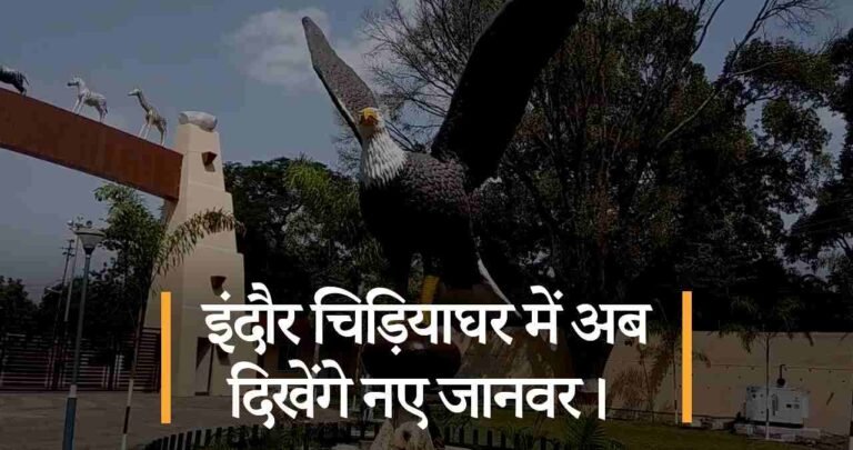 इंदौर चिड़ियाघर में अब दिखेंगे नए जानवर।